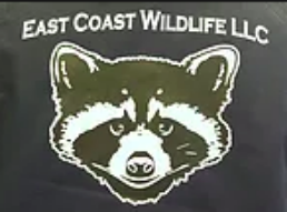 East Coast Wildlife LLC